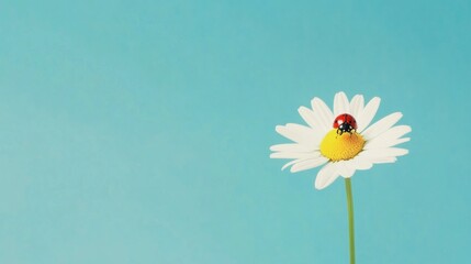 Poster - Vibrant Nature Macro Red Ladybug on Pristine White Daisy Petal - Eco-Chic Imagery for Wellness and Organic Lifestyle Marketing