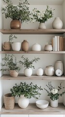 Poster - A beautifully curated modern shelf features an assortment of ceramic vases, each artistically arranged with lush greenery
