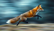 © Hafiya - Dynamic Wildlife: The Beauty of a Running Fox