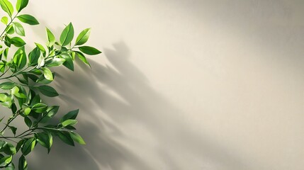 Poster - Lush verdant green foliage with sunlight rays streaming through the branches creating a serene and tranquil natural backdrop  The clean