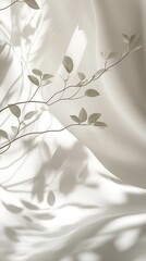 Poster - Smooth ceramic surface with subtle shadows, minimalist neutral background, modern and aesthetic-friendly