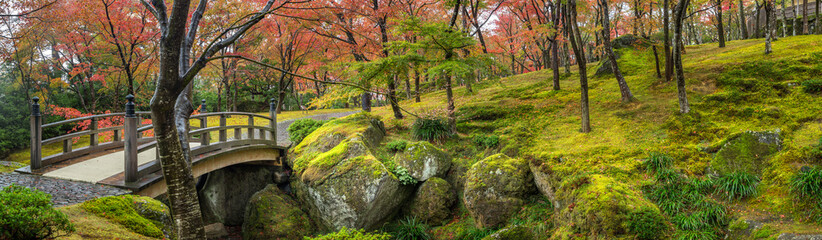 Wall Mural - japanese garden panorama in autumn season