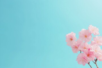 Canvas Print - A blue sky with a pink flower in the foreground. The flower is surrounded by a blue background