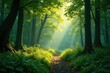 © photohappy - A serene forest glade bathed in soft natural light, serenity, foliage
