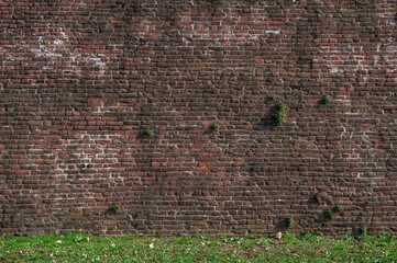 Wall Mural - Old ancient brick stone wall texture background with grass outdoor