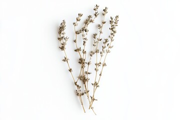 Wall Mural - Crushed dried thyme on white background, isolated, culinary herb concept