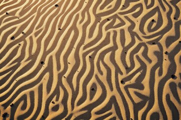 Poster - Abstract pattern of sand dunes with shadowed light forming organic shapes on a textured background.