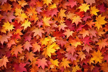 Poster - Vibrant autumn leaves in red, orange, and yellow tones covering the background.