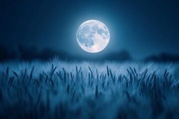 Poster - Full moon shining over a serene field of tall grass at night casting a mystical glow