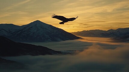 Sticker -   Birds flying over mountains at sunset or fog