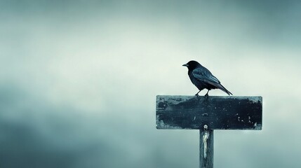 Wall Mural -   A bird on a wooden sign in a foggy sky, with another bird perched above it