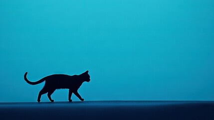 Sticker -  Black cat walking on blue field, bird flying overhead