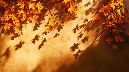warm golden light falls on a wall with the shadow of fallen maple tree leaves , golden, fall colors.