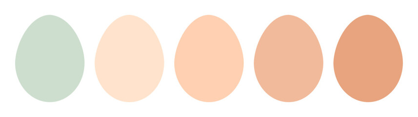 Wall Mural - eggs collection. natural color of chicken eggs. vector illustration.