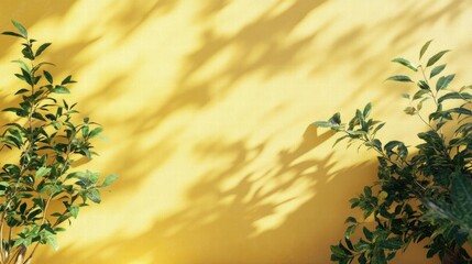 Wall Mural - Sunlight and Shadow Play on a Yellow Wall