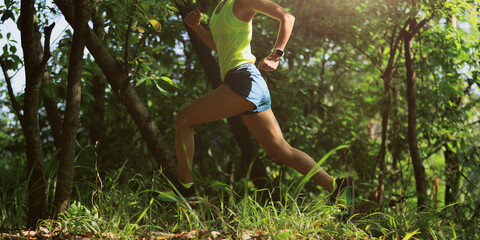 Wall Mural - Woman trail runner running at tropical forest mountain peak