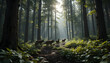 © aldo - a dense forest with sunlight breaking through the canopy, a pack of wolves moving stealthily through the trees, detailed textures of bark and leaves, photorealistic