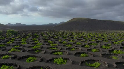 Wall Mural - Aerial drone view of mountain sea and volcanoes in Lanzarote, Canary Islands, Spain