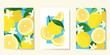 © babeer - Summer tropical fruit poster background vector. Lemon, flower, leaves with watercolor texture. Design for promotion, cocktail drink advertising, packaging, interior.