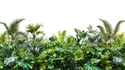 Poster - Tropical plants and trees growing in a lush jungle landscape with transparent background