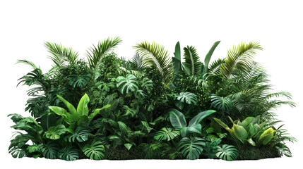 Poster - Tropical plants creating lush green foliage on transparent background