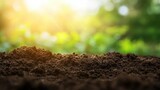 Close-Up View of Rich Soil with Natural Background and Sunlight