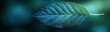 © imin - A close-up of the veins on a vibrant blue leaf,
