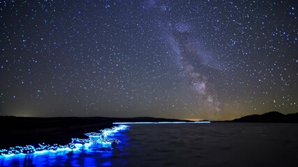 Poster - A long-exposure capture of a bioluminescent bay at night, with glowing plankton illuminating the shoreline under a star-studded sky.
