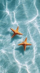 Poster - In tranquil turquoise waters, two starfish rest peacefully, surrounded by gentle ripples. Sunlight dances on the surface, creating a breathtaking underwater ballet