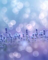 Poster - A soft powder blue merging into light lavender bokeh blur gradient background