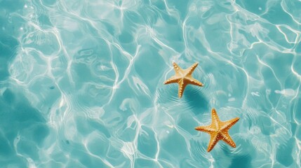 Poster - Soft sunlight dances on crystal-clear waters, revealing two small starfish resting serenely amidst gentle ripples, creating a peaceful coastal vista perfect for relaxation