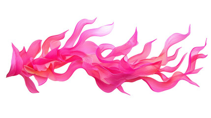 Poster - pink wavy fabric flowing on transparent background