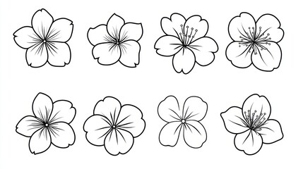eight cherry blossoms, line art, white background, design element