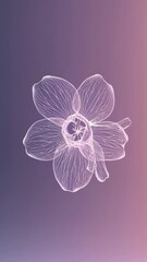 Poster - A mesmerizing loop of a flower’s life cycle shown in semi-transparent layers, from the first signs of bloom to a fully opened, intricate X-ray beauty.
