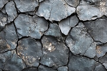 Poster - Close up of a cracked surface showing detailed texture and patterns in natural material