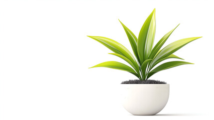 serene and modern plant decor with glossy leaves in a neutral ceramic pot