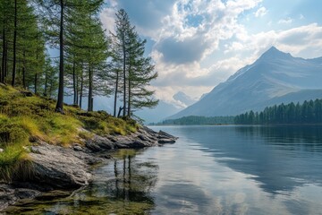 Wall Mural - Calm lake, mountain view, pine trees, rocky shore, summer travel