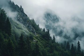 Wall Mural - Misty Mountain Forest Landscape, Clouds, Conifers, Rocks, Nature Background, Hiking