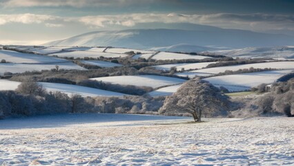 Aufkleber - Serene winter landscape with rolling snow-covered hills and a solitary tree in the foreground, featuring soft white tones and a moody grey sky
