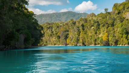 Poster - Tranquil turquoise river flowing through a lush tropical rainforest with vibrant greenery under a clear blue sky and gentle clouds