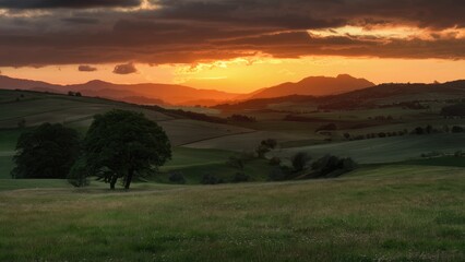 Poster - Majestic sunset over rolling green hills with a solitary tree silhouetted against vibrant orange and yellow sky, deep clouds in the background.