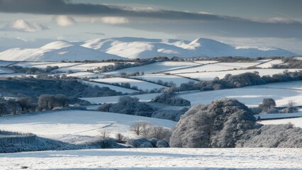 Poster - Tranquil winter countryside scene with rolling hills covered in fresh snow under a cloudy sky featuring shades of white and soft gray hues.