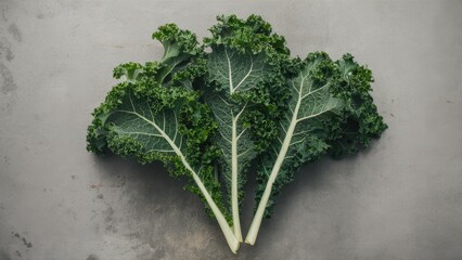 Poster - Fresh green kale leaves arranged centrally on a textured gray surface, highlighting vibrant colors and intricate leaf patterns.