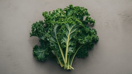 Poster - Fresh green kale leaves arranged neatly on a textured gray background with a focus on vibrant leafy details and natural lighting