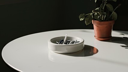 Poster - White ceramic ashtray on smooth white table with a green plant in a terracotta pot, soft shadows creating a serene ambiance in natural light.