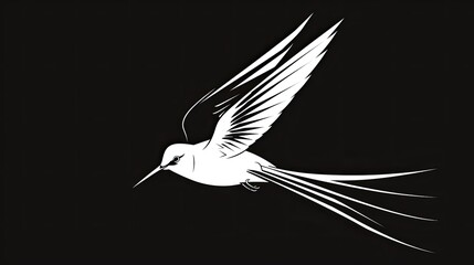 Wall Mural - A simple white line art illustration of a swallow bird in flight, in a vector style with a flat design, on a black background