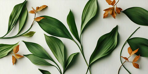 Poster - Botanical Flatlay: Lush green leaves and dried orange-brown accents arranged in a stylish flatlay composition, creating a serene and elegant botanical design. 