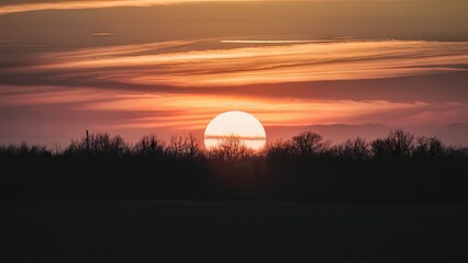 Aufkleber - Silhouette of dark trees against a vibrant orange and purple sunset sky with large sun setting on the horizon creating a serene landscape.