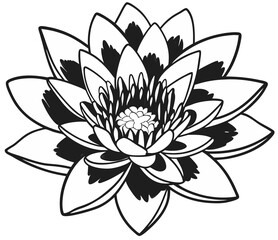 Wall Mural - lotus flower top view