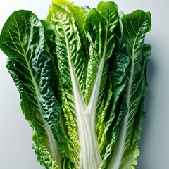 Wall Mural - fresh green cabbage